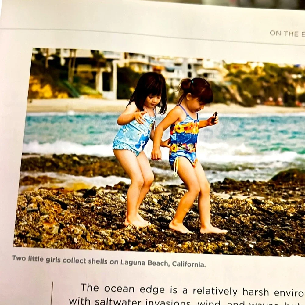 National Geographic Field Guide to the Water's Edge Hardcover Book EXC - Picture 4 of 16